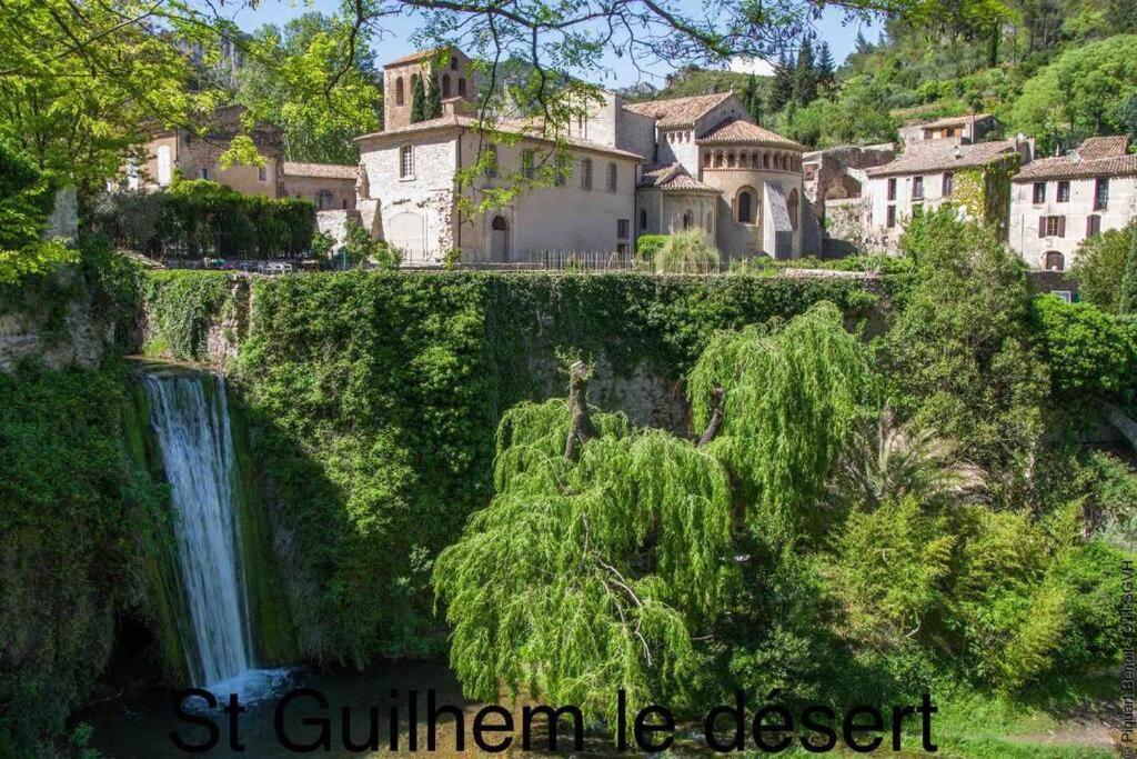 Charmante Cave Voutee 4 Personnes Saint-Jean-de-Fos 외부 사진
